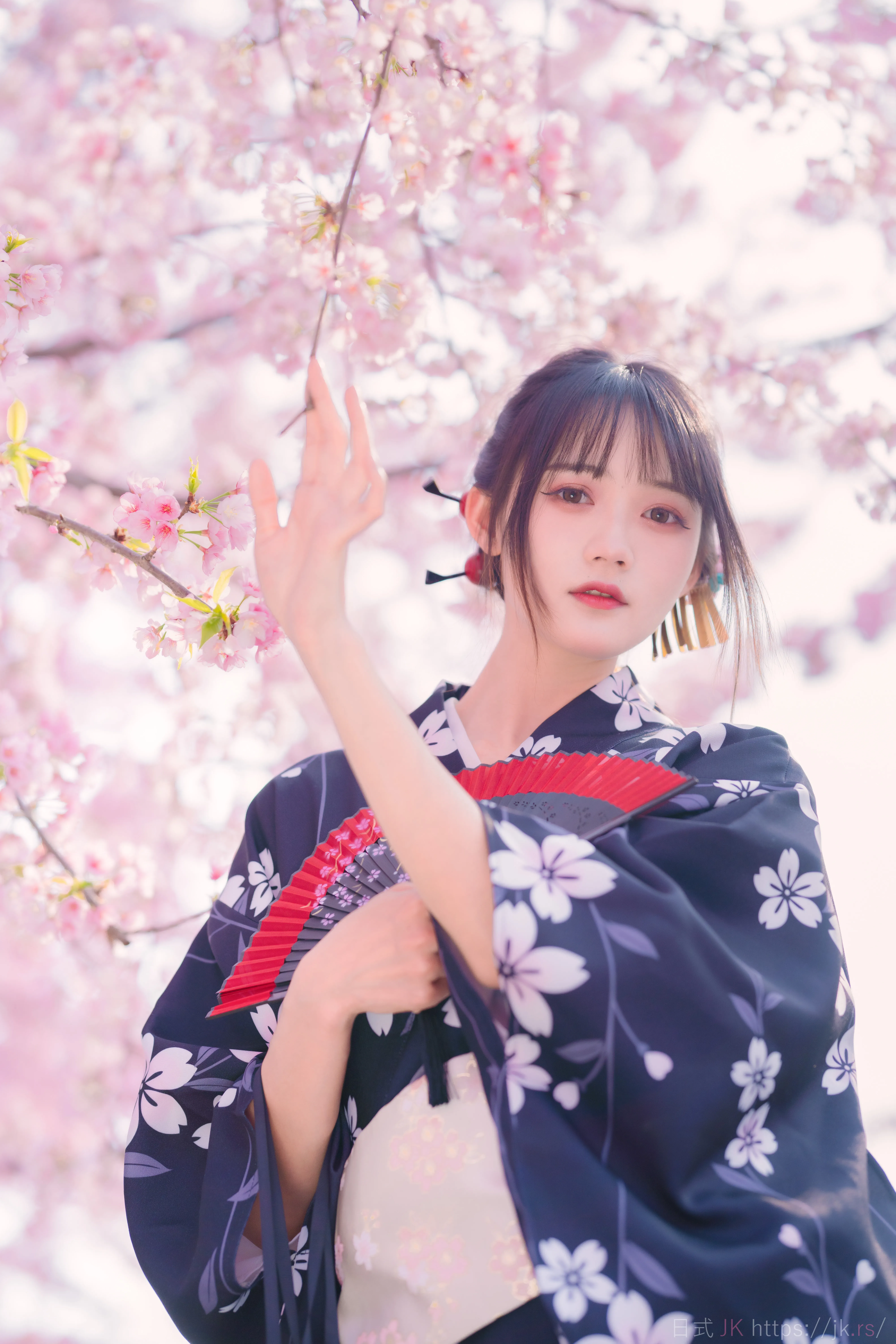 JK-樱花烂漫时